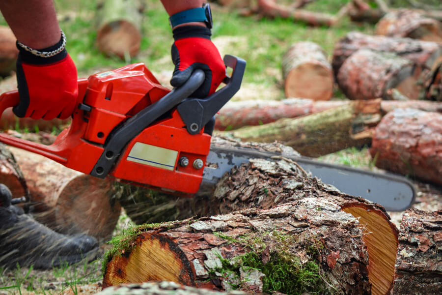 Electric vs Gas Chainsaws- Which one is suitable for your needs?