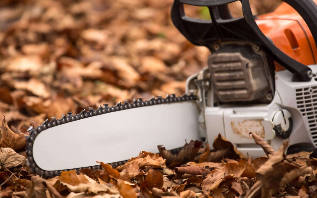 How to Measure a Chainsaw Bar Correctly : [Sizing Up Your Saw]