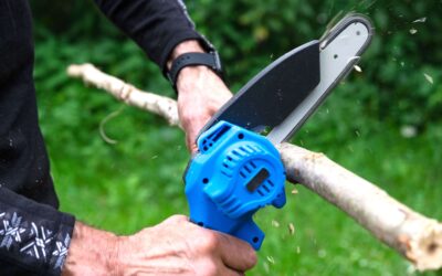 How to Safely Operate Your Pole Saw: A Comprehensive Guide for Tree Maintenance